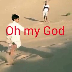 Oh my God little child plays with tiger