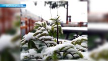 Alpes du Sud / Météo : premières images de chutes de neige_V2