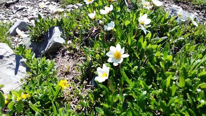 Panoramique au mont Pérolier (Taillefer)