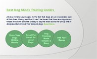 Best dog shock training collars