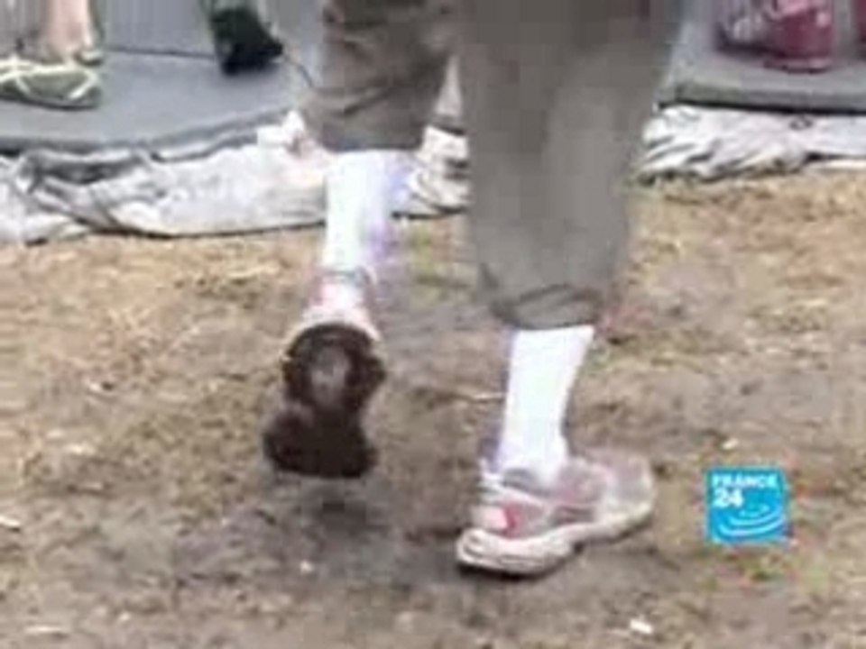 FRANCE24-EN-A-SUMMER-OF-FESTIVALS-ROCK-CONCERT-SZIGET