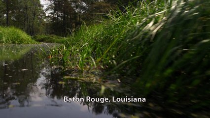 Bad Country 2014 1080p HD Trailer