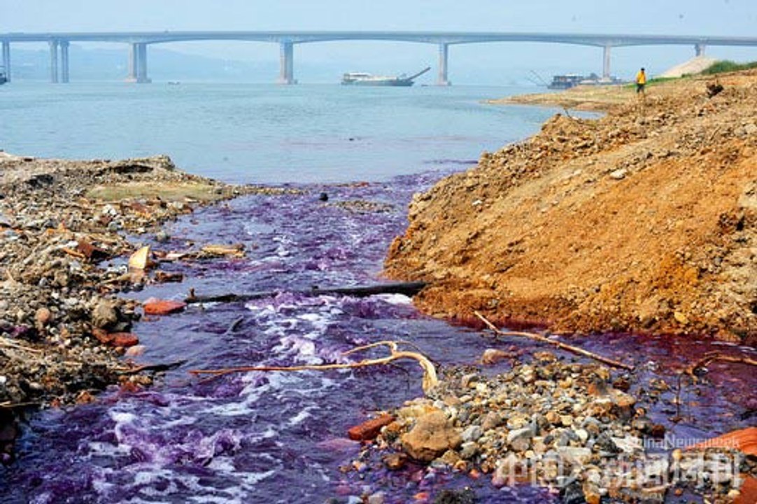 Heavy Metals and Environmental Pollution