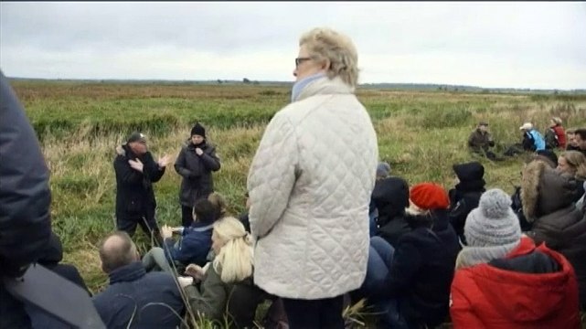 Le grand ballet des milliers d'étourneaux migrateurs débute dans un parc danois
