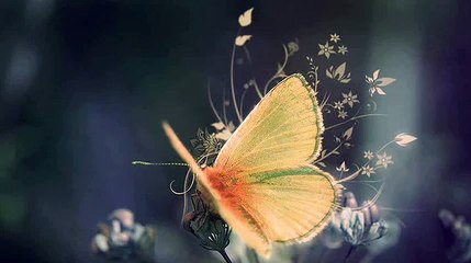 Mike Rowland - Breath-WZn9ZWZ1F08-HQ