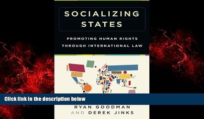 READ book  Socializing States: Promoting Human Rights through International Law  FREE BOOOK ONLINE