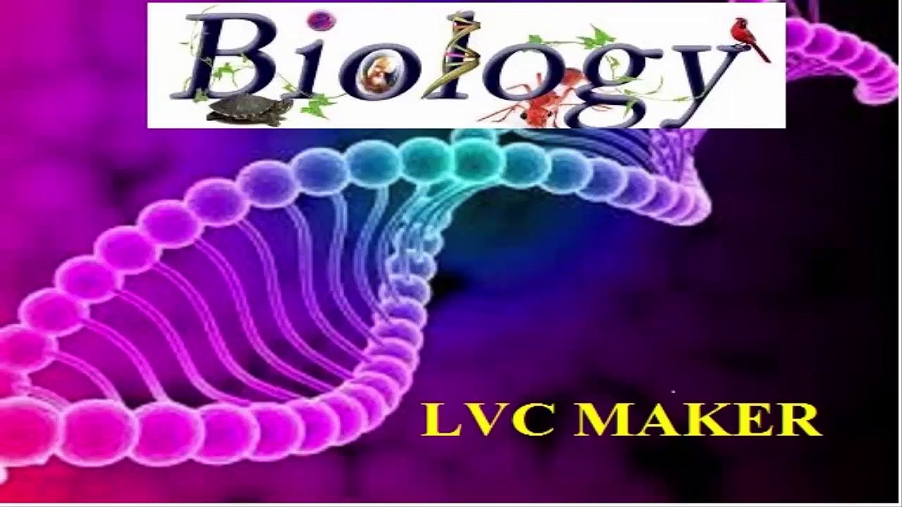 Animals is moulting | Surprise Biology | Discovery | Edu | 1080 HD