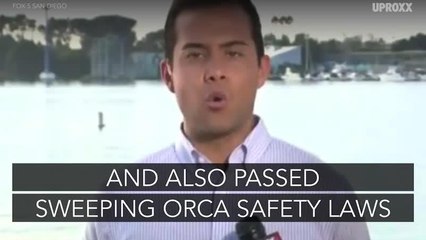 TripAdvisor Changed Its Policies In A Big Way