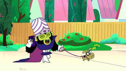 Razões Porque Amamos o Macaco Louco| Top 5 | Cartoon Network