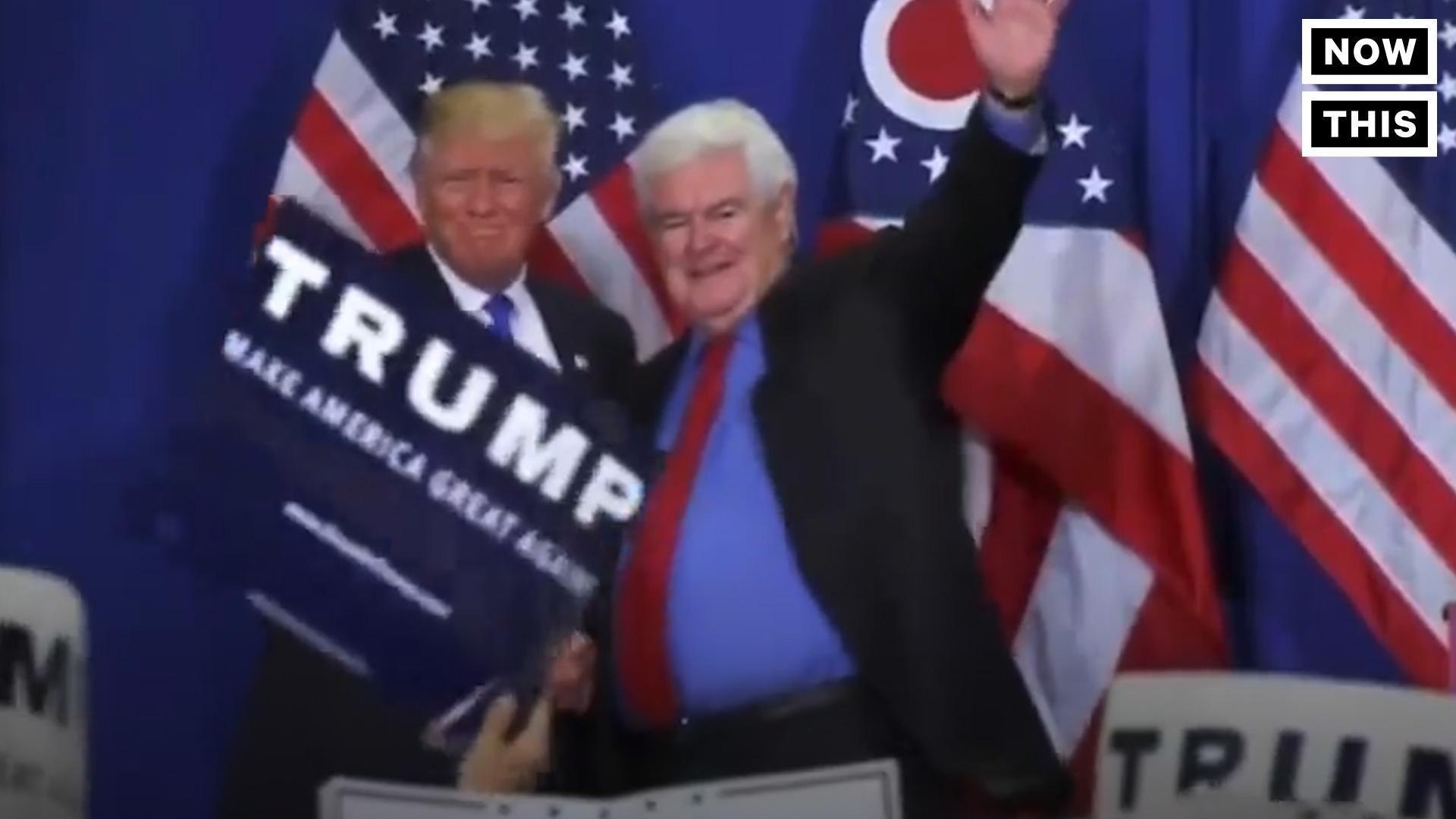 Newt Gingrich Calls Trump 'Tiny Trump'