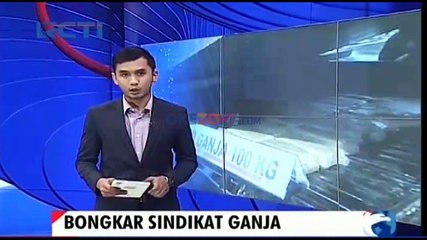 Polisi Sita 800 Kilogram Ganja