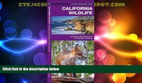 Pdf Online California Wildlife: A Folding Pocket Guide to Familiar Species (Pocket Naturalist