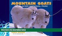 Popular Book Mountain Goats of Glacier National Park