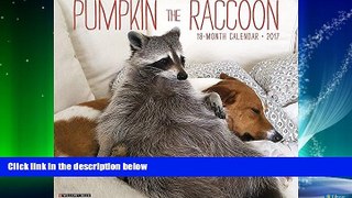 Choose Book Pumpkin the Raccoon 2017 Wall Calendar