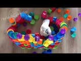 Ruthless Cockatoo Breaks Into Fortress of Cups