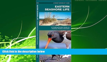 Popular Book Eastern Seashore Life: A Folding Pocket Guide to Familiar Plants   Animals (Pocket