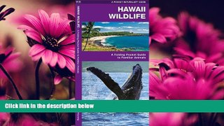 For you Hawaii Wildlife: A Folding Pocket Guide to Familiar Species (Pocket Naturalist Guide Series)