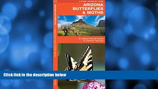 Popular Book Arizona Butterflies   Moths: A Folding Pocket Guide to Familiar Species (Pocket