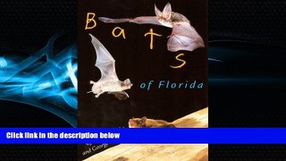 For you Bats of Florida