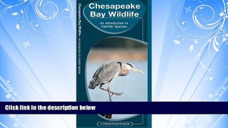 For you Chesapeake Bay Wildlife (Pocket Naturalist Guide Series)