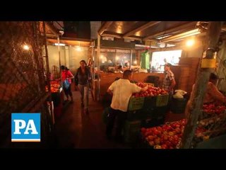 reportaje Vendedores del abasto entre vicisitudes y progreso