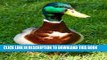 [PDF] Mallard Duck - Drake Journal: 150 page lined notebook/diary Popular Collection