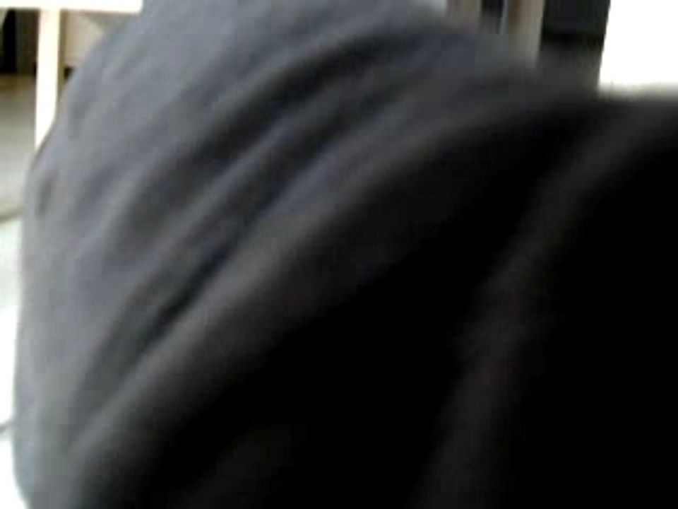 Sharpei - Zinedine Ah-Zy-Han