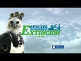Especies en Peligro de Extinción