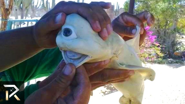 The Biggest Nuclear Meltdowns in History