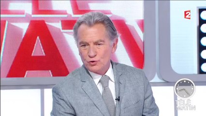 Faune - Des ours au muséum