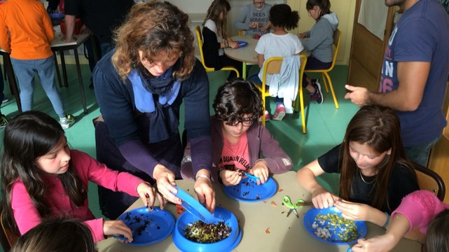 À Jules Ferry, les écoliers ont cuisiné avec des algues