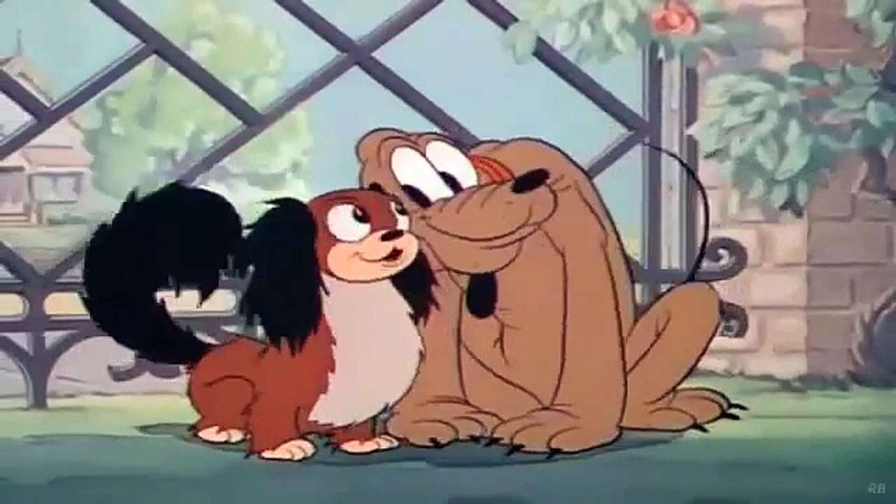 Mickey Mouse and Pluto Cartoons ! PLUTOS QUIN PUPLETS