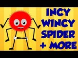 Incy Wincy Spider | Baa Baa Black Sheep | Finger Family | Nursery Rhymes