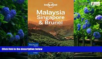 Books to Read  Lonely Planet Malaysia, Singapore   Brunei (Travel Guide)  Best Seller Books Most