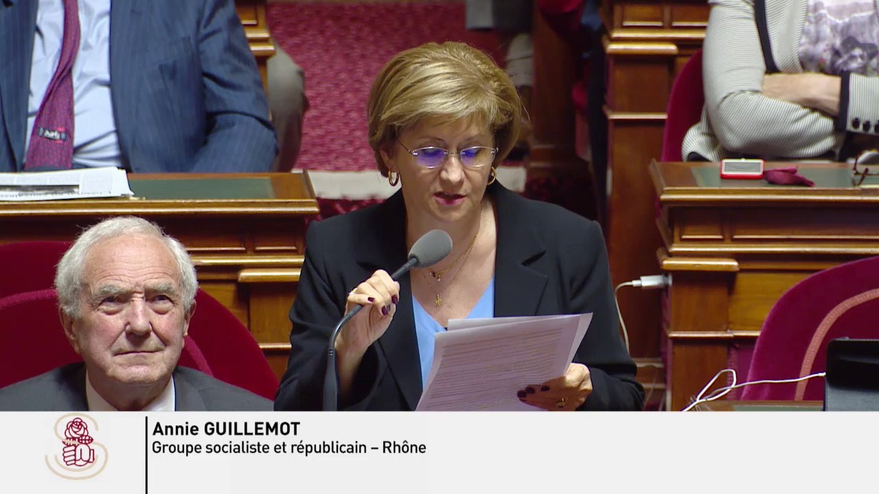 QAG de Annie Guillemot du 13 octobre 2016