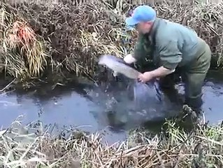 [Hài hước] Xem lại 101 lần vẫn ngạc nhiên, thán phục