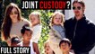 Brad Pitt and Angelina Jolie To Get JOINT CUSTODY Of KIDS? Brangelina DIVORCE