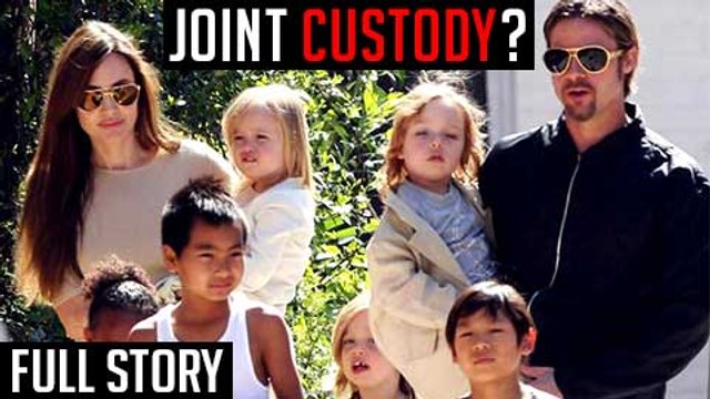 Brad Pitt and Angelina Jolie To Get JOINT CUSTODY Of KIDS? Brangelina DIVORCE