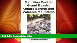 READ NOW  Mauritius Central Grand Bassin, Quatre Bornes and Volcanic Mountains: Souvenir Bilduma