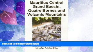 Deals in Books  Mauritius Central Grand Bassin, Quatre Bornes and Volcanic Mountains: Un Souvenir