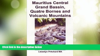READ NOW  Mauritius Central Grand Bassin, Quatre Bornes and Volcanic Mountains: Un Recuerdo