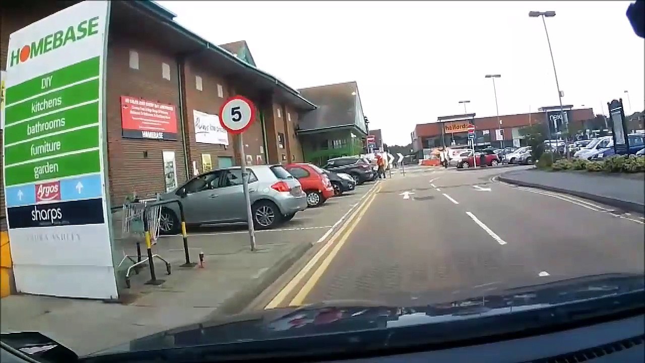 The rooster jumped out of the trunk in the parking lot