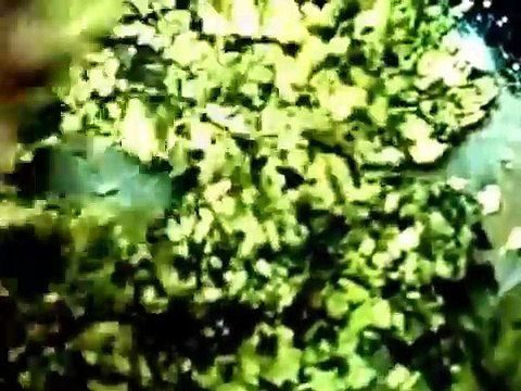 Egg recipe How to make stuffed deviled eggs Tasty appetizer dish -