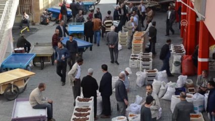 104 Ülkeye Kuru Kayısı Ihracatı