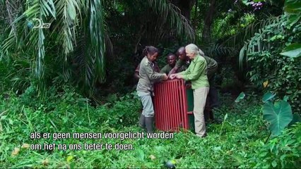 There's Still a lot Left Worth Fighting For-  - Jane Goodall