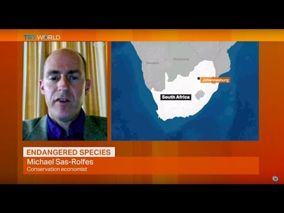 Money Talks: Trade of endangered species banned in CITES conference, interview; Michael Sas-Rolfes