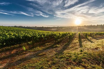 bamwar10.net 인천안마 부천건마샵 밤의전 쟁