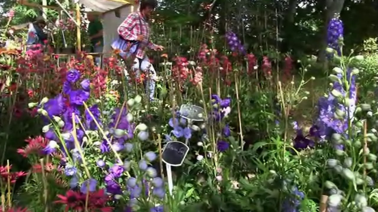 Staudenmarkt im Botanischen Garten