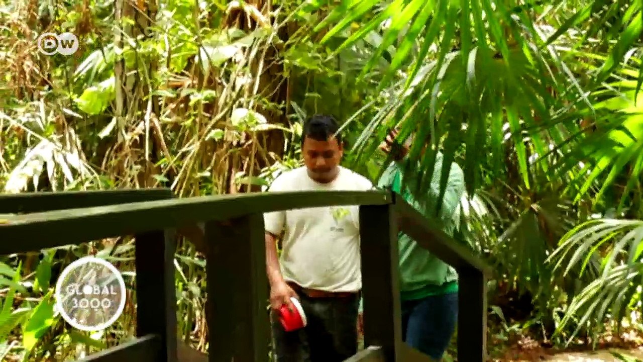 Wilde Tiere in Gefahr - Artenschutz in Belize | Global 3000