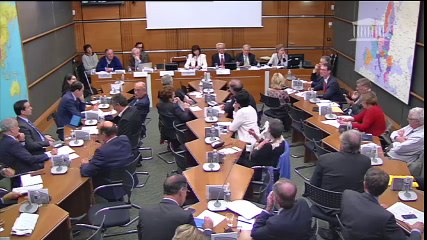 Intervention de Michel Lesage en commission du développement durable